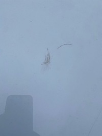 фото thumb №14, Kompletny перед land rover discovery sport l550 pas капот бампер радіатор