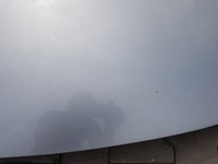 фото thumb №6, Mazda 6 iii gj 12-17r капот 38p