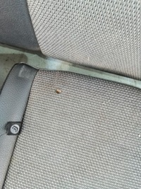 фото thumb №10, K988 заднє сидіння mercedes w204 напівшкіра