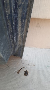 фото thumb №15, Двері перед ліві opel astra g ii 5d hb