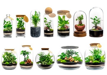 КУСОК ЛЕСА Лес в банке набор своими руками DIY S
