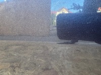 фото thumb №9, Двері праве передні перед audi a8 d3 02- лак: lz7q