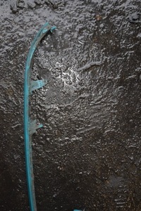 фото thumb №2, Решётка радиатора решётка радиатора peugeot 306