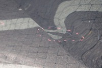 фото thumb №5, Капот bmw x5 e70 x6 e71