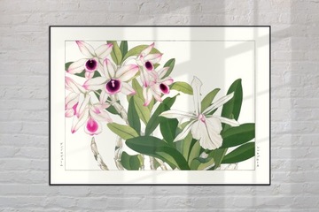 FIRLETKA KWIECISTA sztuka japońska dekoracja vintage 21x30 (A4)