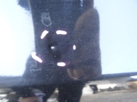 фото thumb №7, Peugeot 308 ii t9 двері ліва лівий задня ktvd hb