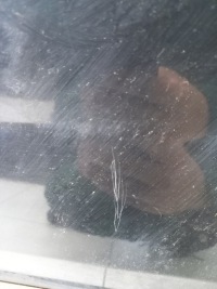 фото thumb №5, Дверь левый перед peugeot expert ii exyb