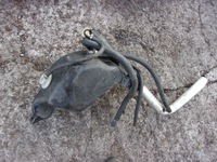 фото thumb №2, Audi a8 d2 бензин труба заливна горловина пального