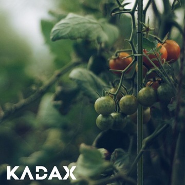 10x ПОДДЕРЖКА ДЛЯ ЦВЕТОВ ТОМАТОВ 150 СМ, СТАЛЬ С ПОКРЫТИЕМ