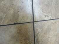 фото thumb №8, Volvo v40 1.9dci 03' коробка передач передач 1023678