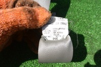 фото thumb №8, Nissan maxima a33 ремені перед лівий правий beż kpl