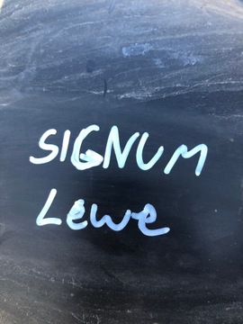 фото thumb №5, Подкрылок левый перед opel signum 13162370