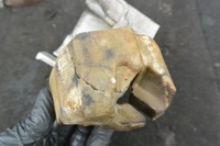 фото thumb №6, Корпус шумоізоляція насоса пального 3.0b maserati quattroporte ghibli levante