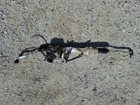 фото thumb №1, Трансмиссия рулевая рулевая рейка berlingo partner iv rifter combo e #7412