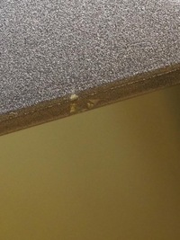 фото thumb №12, Кришка зад задня nissan qashqai iii 3 j12 2021-