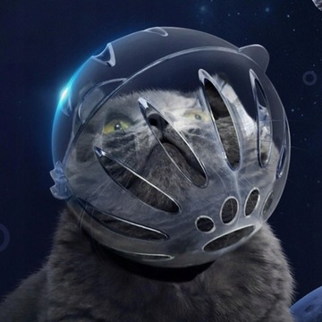 Дышащий намордник для кошки. Подстригаем кошке когти.