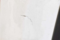 фото thumb №4, Двері праві перед передні білий renault kangoo 2 ii 07-13