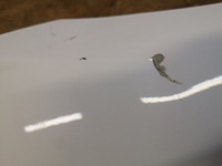 фото thumb №10, Ford ranger iv lift крила правий перед