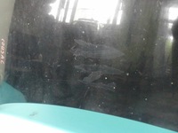 фото thumb №9, Капот передня opel corsa c чорний