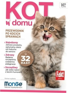 Кот дома