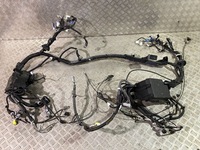 фото thumb №1, Lexus nx 2020 джгут трубопровід двигуна