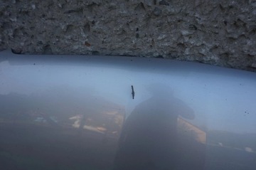 фото thumb №8, Бампер комплектний перед rav4 iii