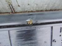 фото thumb №8, Бампер перед передній citroen jumpy pod ксенон омивачі