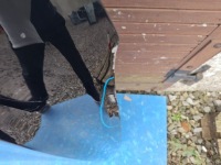 фото thumb №4, Кришка двигуна капот mg marvel r 2020r-