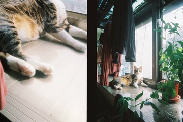 Фотоаппарат KODAK Ektar H35 35 мм в стиле ретро, ​​коричневый