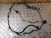 фото thumb №1, Джгут двері лівий задня opel insignia a 13326955 11299