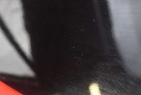 фото thumb №5, Спойлер спойлер спойлер jj jx7b-a44210-a ford focus mk4 5d hb st 18-21