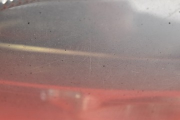 фото thumb №14, Фара лівий лампа перед лінза eu 155887-01 opel signum 03-08