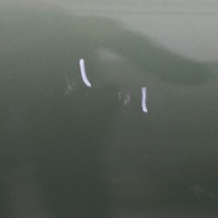 фото thumb №10, Mini r60 countryman дверь правое задние jungle green металлик - c15