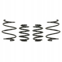 фото thumb №1, Eibach e10-20-010-01-22 набір підвіска, пружини