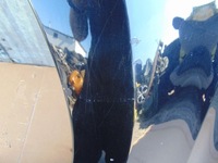 фото thumb №10, Крила лівий перед vw polo v 6r lc9x демонтаж