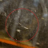 фото thumb №6, Nissan np300 2006 левая сторона дверь передние