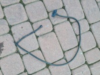 фото thumb №1, Насадка омывателя капот opel insignia b