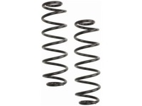 фото thumb №1, Пружини задня lesjofors 4295038