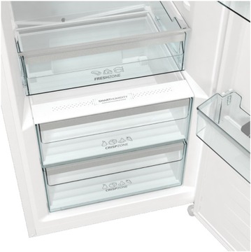 Chłodziarka GORENJE R619EAW6