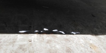 фото thumb №10, Vw t5 дверь правые перед 03r-