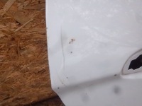 фото thumb №4, Дверь ford fiesta mk 7 lift правое задняя