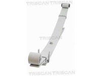 фото thumb №2, Рессора задняя triscan 8765 43004