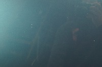 фото thumb №9, Капот кришка двигуна citroen c4 picasso lift kgqc