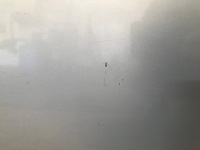 фото thumb №4, Дверь левый задняя renault scenic ii nv632