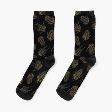 Проекты программистов Socks