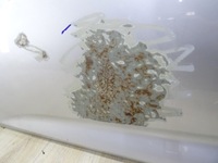 фото thumb №6, Opel insignia b двері ліва передні