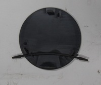 фото thumb №1, Заглушка бампера renault magnum