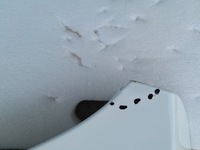 фото thumb №15, Opel astra l vi 6 капот кришка двигуна білий