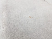 фото thumb №8, Audi a6 s6 c5 4b 2001 боковина / оббивка / багажника