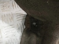 фото thumb №5, Підкрилок задня задні праве peugeot 5008 i